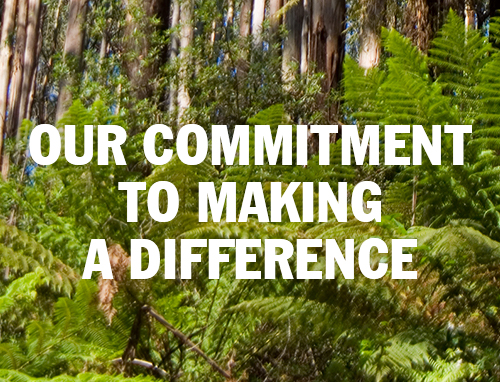 Sustainability Image