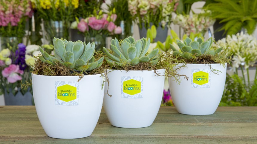 Sqaure Labels