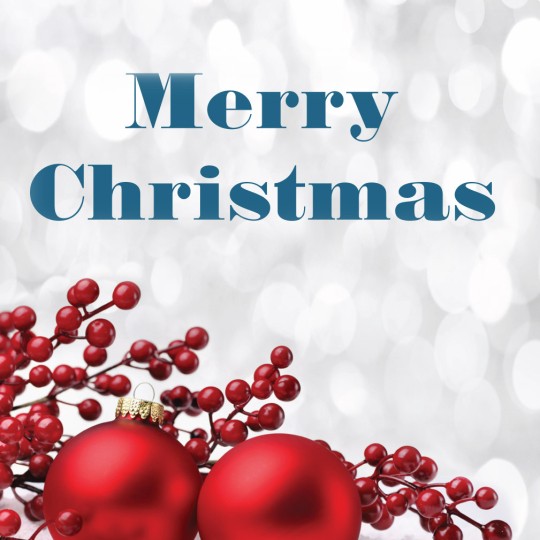 Merry Christmas Avery Template designs for Christmas