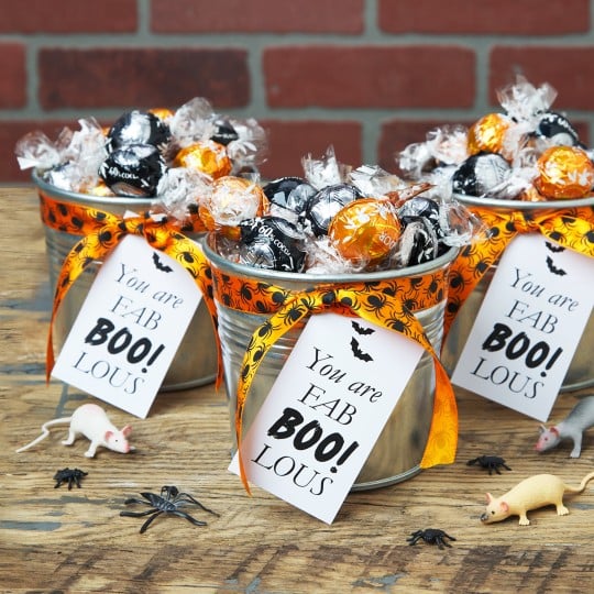Lifestyle-Software-Halloween_Header 2.jpg