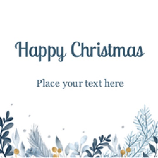 en.A-0004-01.ParcelLabel-8TV.20_Xmas_BriskAir.landscape.2011-01.jpg