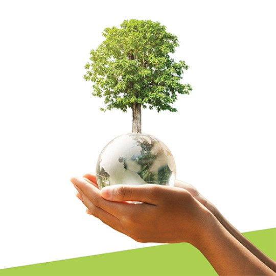 Home Core Banner_Concept 3_Sustainability v2.jpg