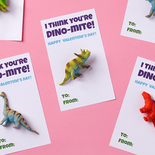 Dinosaur Valentines gift