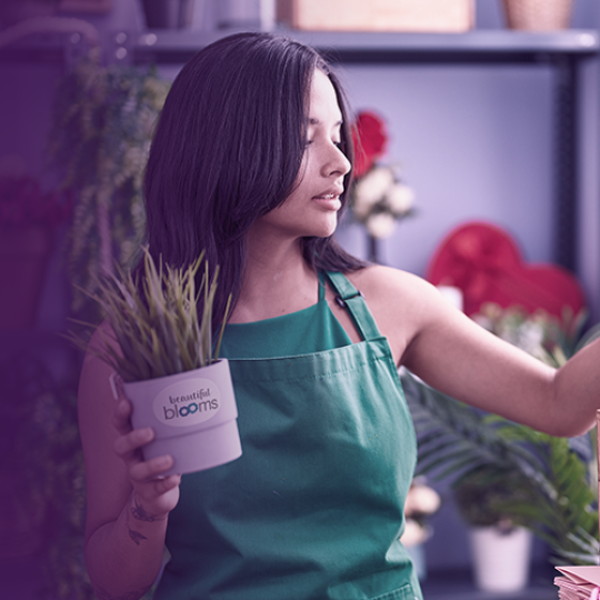 Tips and advice for small businesses