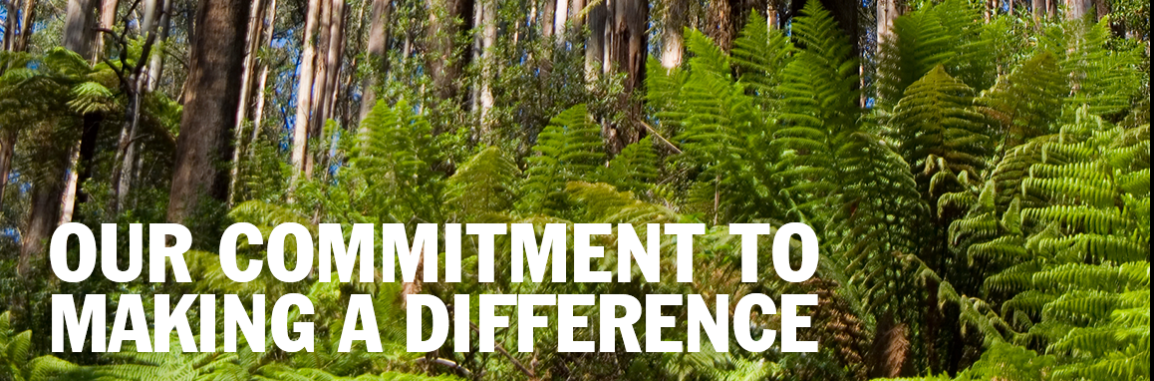 Sustainability Image