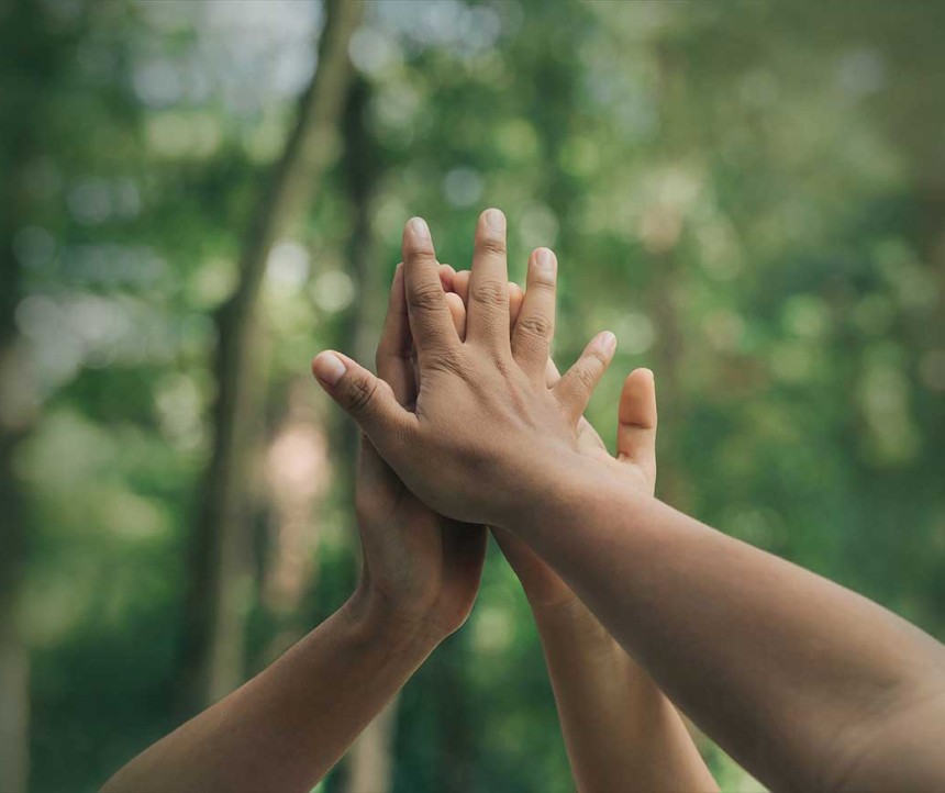 3 hands in the air behind forest backdrop