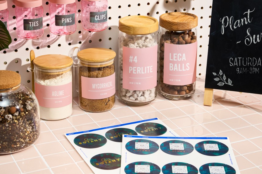 Labels on sheets next to jars with labels