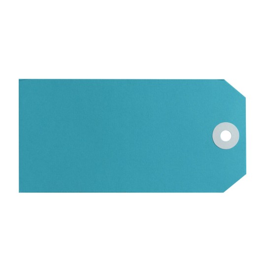 Blue Shipping Tags, Size 5 15120