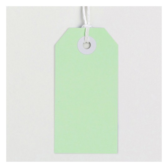 This image features a plain green tag with a hole at the top, typically used for labeling or price tags. The tag is simple and has a minimalistic design.
