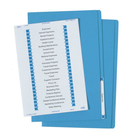 Blue Manilla Folder with Labels 88322