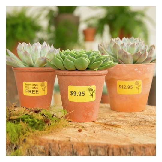 The image features three succulent plants in terracotta pots. Each pot has a price label: $9.95, $12.95, and a promotional offer of 'Buy One Get One Free' on the middle pot. The background is natural and earthy, suggesting a garden or plant shop setting.