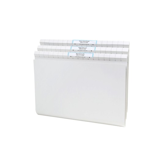 White Quickview™ Files 166007