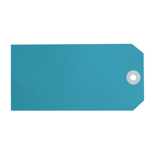 Blue Shipping Tags, Size 6 16120