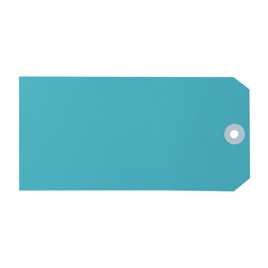 Blue Shipping Tags, Size 8 18120