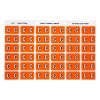 C Side Tab Colour Coding Labels 43303