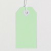 This image features a plain green tag with a hole at the top, typically used for labeling or price tags. The tag is simple and has a minimalistic design.