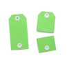 2in1 Perforated Tags Green, 100 Pack 19002 Content: 100 Tags / 100 Tags