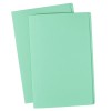 Light Green Manilla Folder 81533